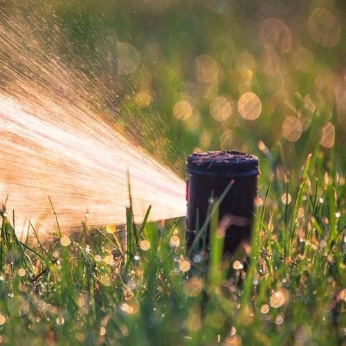 nawadnianie ogrodów Brzeg Dolny